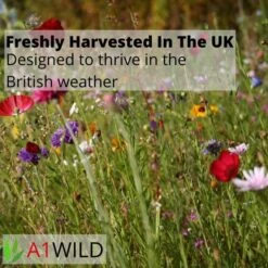 A1WILD UK Native 100% Wildflower Seed Mix -Garden Supplies Sales Shop 2 10