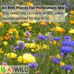 A1WILD UK Native 100% Wildflower Seed Mix -Garden Supplies Sales Shop 3 9