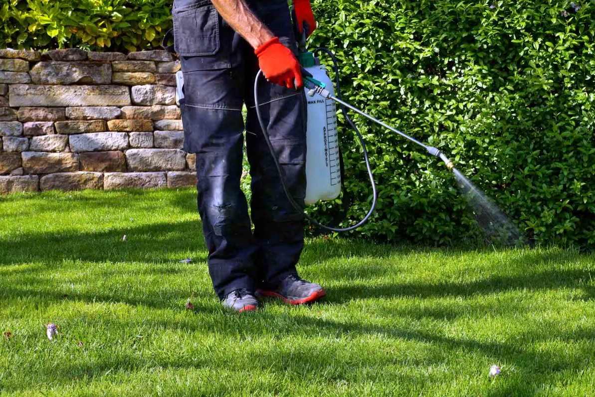 Garden Supplies Sales Shop -Garden Supplies Sales Shop Dingtalk 20240529105151