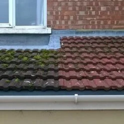 AlgoClear Pro - Hard Surface Cleaner -Garden Supplies Sales Shop algoclear pro b and a