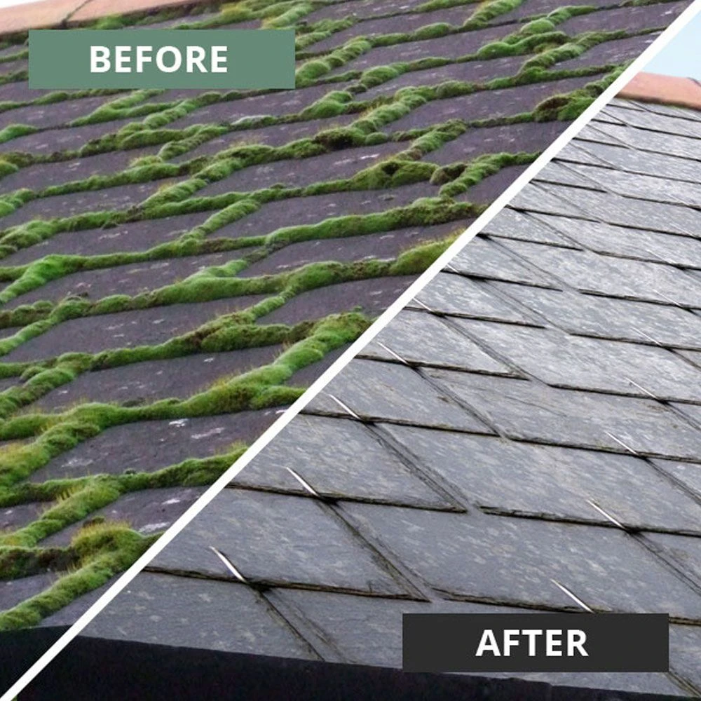 MossOff Chemical Free Multi Surface 5L - Clears Moss & Algae On Hard Surfaces 7 MossOff Chemical Free Multi Surface 5L - Clears Moss & Algae On Hard Surfaces - Image 7