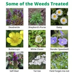 Dicophar - Selective Lawn Weed Killer 7 Dicophar - Selective Lawn Weed Killer -Garden Supplies Sales Shop dicophar extra