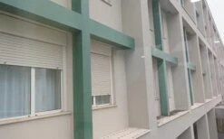 Bird Free - Immediate Bird Control Without Causing Harm - Pack Of 15 -Garden Supplies Sales Shop dishes on window sill