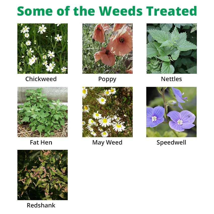 Flexidor 500ml - Long Lasting Herbicide 2 Flexidor 500ml - Long Lasting Herbicide - Image 2