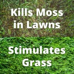 Maxicrop No 2 Moss Killer & Conditioner - 10L -Garden Supplies Sales Shop maxicrop 2 1