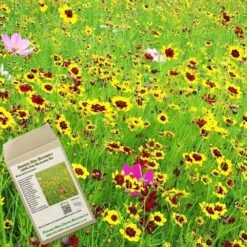Amvista Kew Butterfly Pure Wildflower Mix 100%
