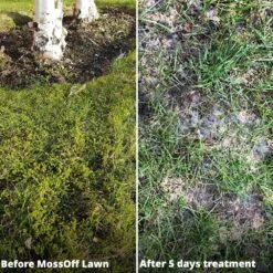 MossOff Chemical Free Lawn 5L-Moss Control For Lawns & Turf -Garden Supplies Sales Shop new mossoff b4