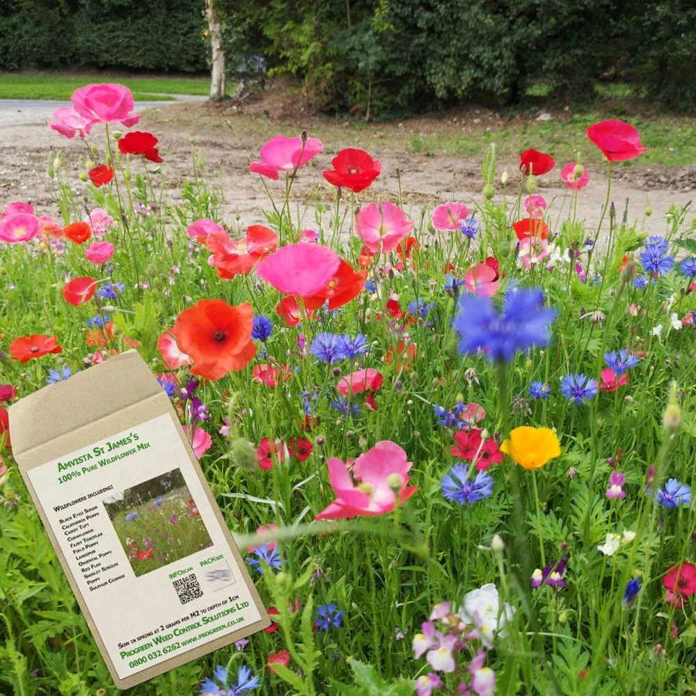 Amvista St James's Pure Wildflower Mix 100% 1 Amvista St James's Pure Wildflower Mix 100%