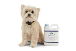 Safewash UK Organic Outdoor Cleaner -Garden Supplies Sales Shop safewash and a dog 2