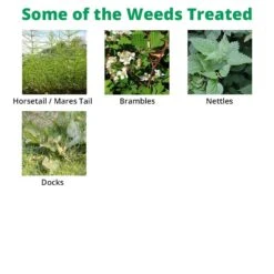 SBK Brushwood Killer 1 L - For Control Of Tough Woody Weeds -Garden Supplies Sales Shop sbk extra 2