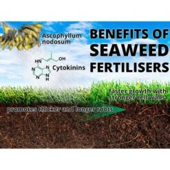 Maxicrop No 2 Moss Killer & Conditioner - 10L -Garden Supplies Sales Shop seaweed benefit 9